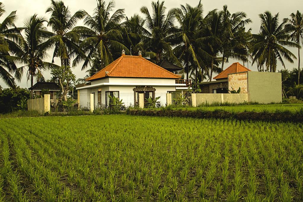 Ubud Lestari Villa Buitenkant foto